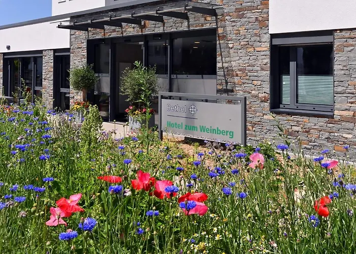 酒店 Bethel Zum Weinberg 3*